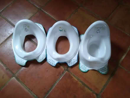Photo of free Child's potty and toilet seat (churchstoke, montgomery) #1