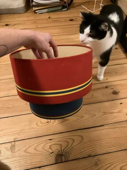 Photo of free Lampshade (Kirkstall LS5) #1