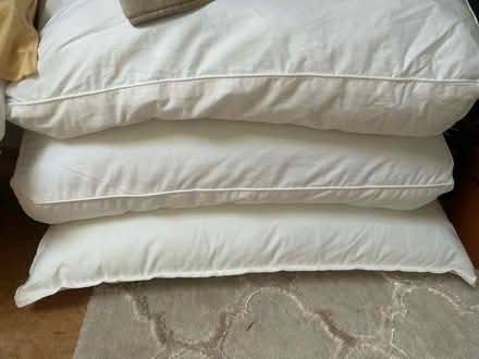 Photo of free 3 pillows (Mortlake SW13) #1