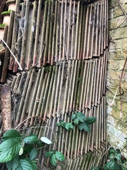 Photo of free Roof tiles - good for hardcore etc. Over 500 (CT3) #1