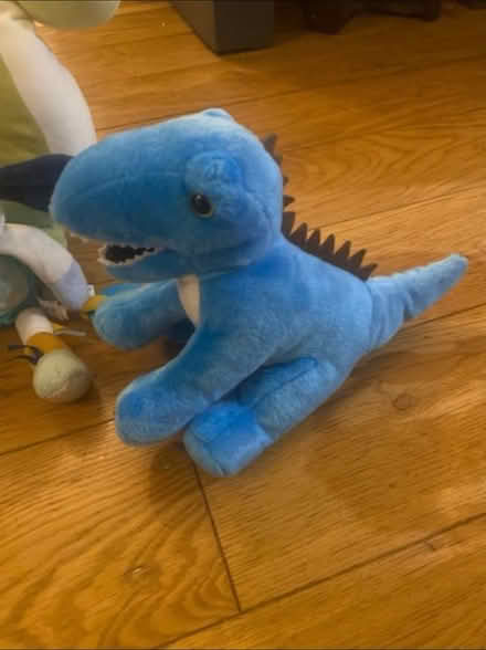 Photo of free Babies Soft Toys (Cheshunt En8) #4