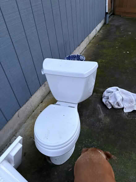 Photo of free Working toilet and laundry basin (Hillsboro) #2