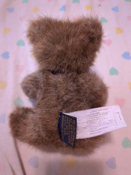 Photo of free Boyd's Bear plushie (Flemingdon Park) #2