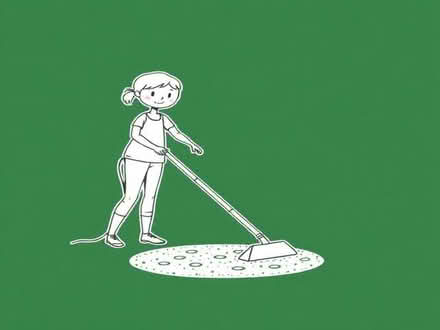 Photo of Carpet cleaner (Woodside SE25) #1