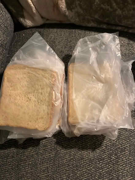 Photo of free Can anyone use any of this? (Coolidge Highway Guilford) #1