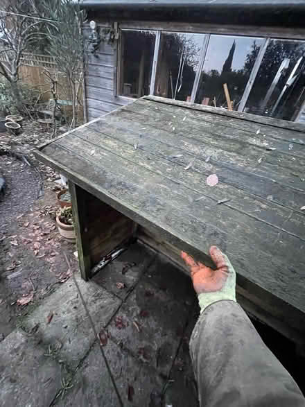 Photo of free Log store (Summertown OX2) #2