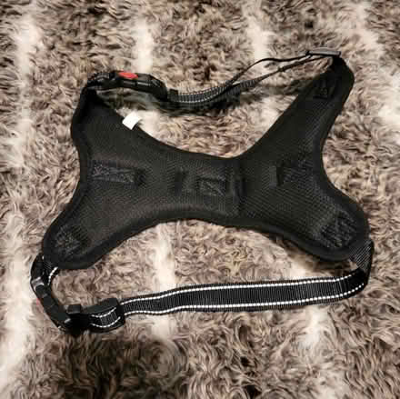 Photo of free Dog harness and jacket (Fulwood PR2) #2