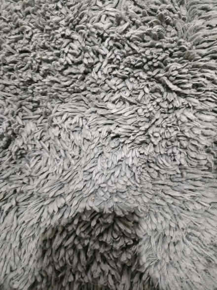 Photo of free Large rug (Gorebridge EH23) #2