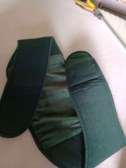Photo of free Green velvet back support (Billing Road East area) #4