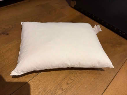 Photo of free feather rectangular cushion pad (Hitchin Herts) #1