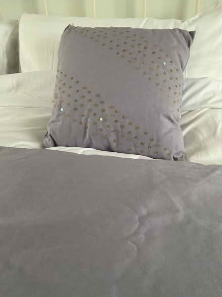 Photo of free Bed throw and two cushions (Churchgate EN8) #2
