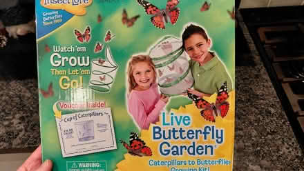 Photo of free Insect Lore Butterfly Garden (caterpillars not included) (Aldrington BN3) #1