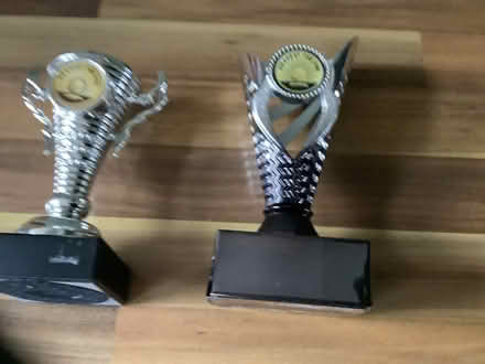 Photo of free Golf trophies (Stanwell Village TW19) #2