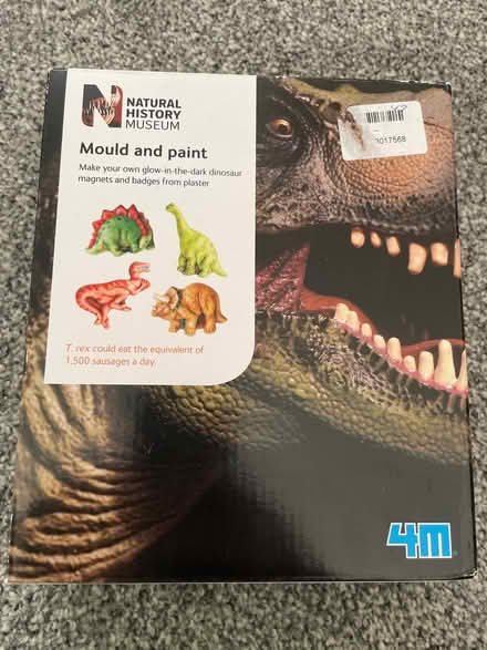 Photo of free Dinosaur magnet/ badge plaster set (Maldon CM9) #1