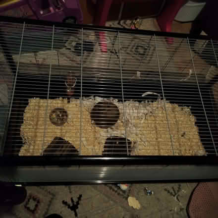 Photo of free Savic large hamster/rat enclosure (Moorlands LA1) #2