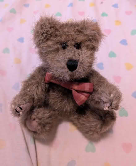 Photo of free Boyd's Bear plushie (Flemingdon Park) #1