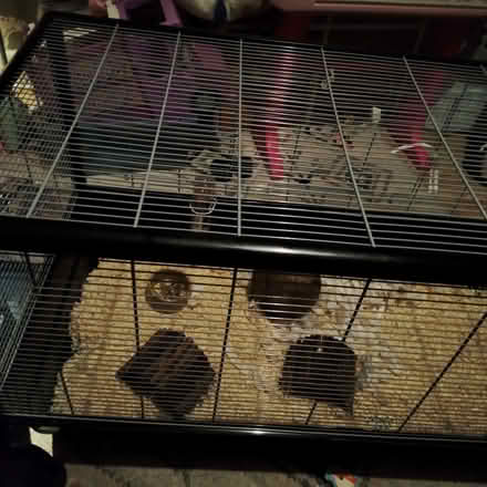 Photo of free Savic large hamster/rat enclosure (Moorlands LA1) #1