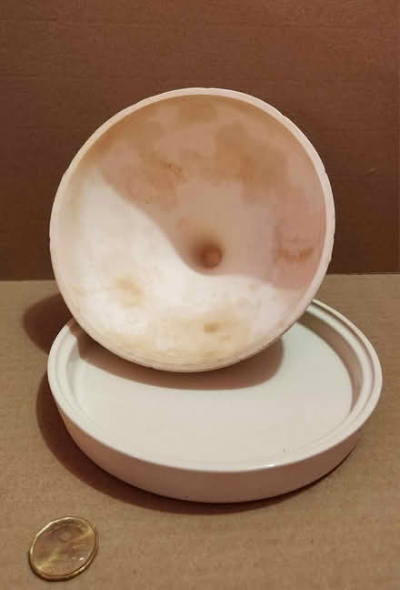 Photo of free Terra Cotta Garlic/Onion Baker (Danforth and Greenwood) #2