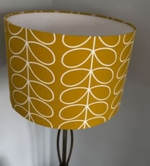 Photo of free lampshade (E14) #1