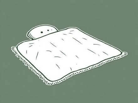 Photo of free Electric blanket (Southport PR8) #1