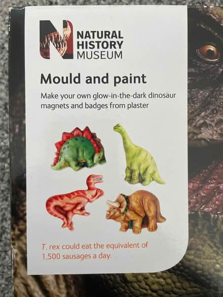 Photo of free Dinosaur magnet/ badge plaster set (Maldon CM9) #2
