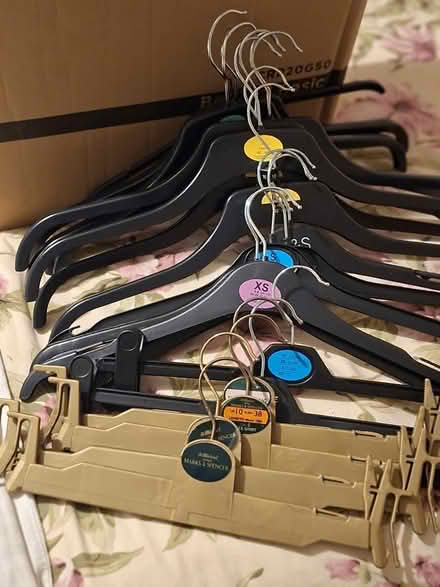 Photo of free hangers (W12) #1