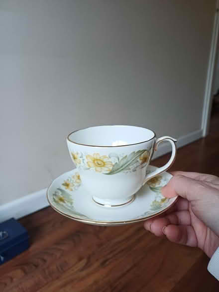 Photo of free Tea cup and saucer (Marldon TQ3) #1