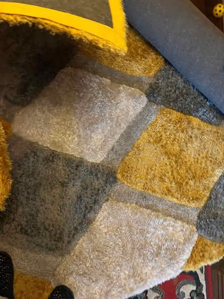 Photo of free Rug (E9 5JU) #1