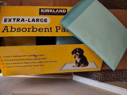 Photo of free Absorbent pads for dogs (Macclesfield SK11) #1