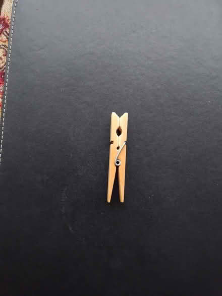 Photo of free Wooden Clothes Pegs (Talbot Village BH12) #1