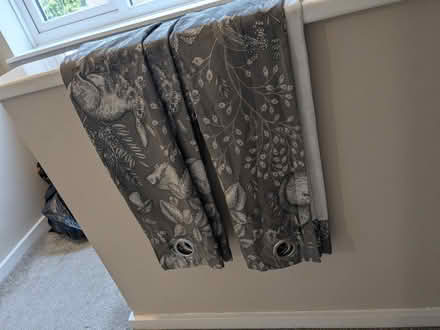 Photo of free Pair of grey eyelet curtains with woodland animal design (Haslucks Green B90) #3