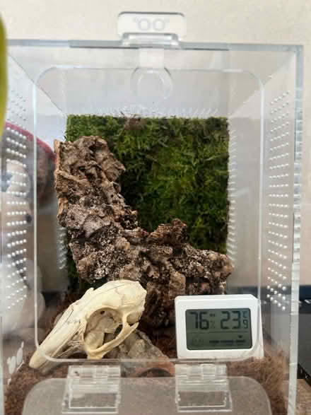 Photo of free Acrylic enclosure (Sheperds Bush W11) #1