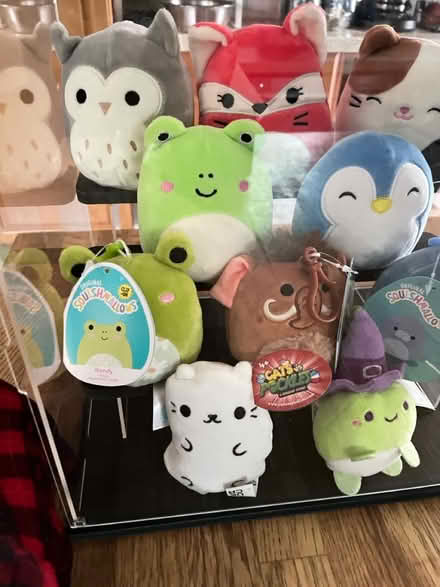 Photo of free Display case with stuffed animals (Fair Lawn, NJ) #2