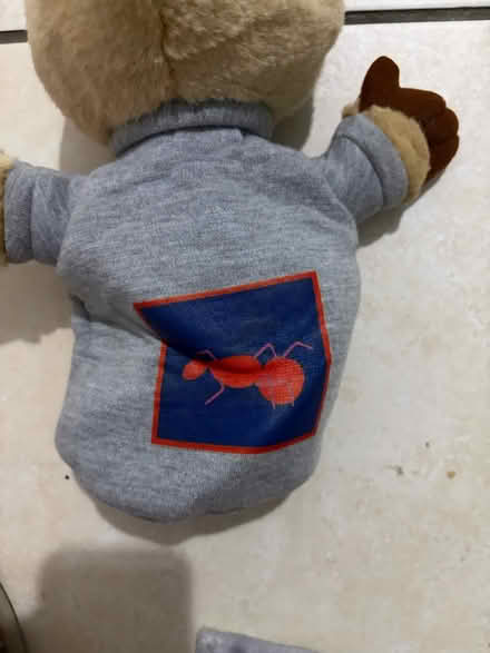 Photo of free Aardvark hand puppet (Westbury Wilts BA13) #2