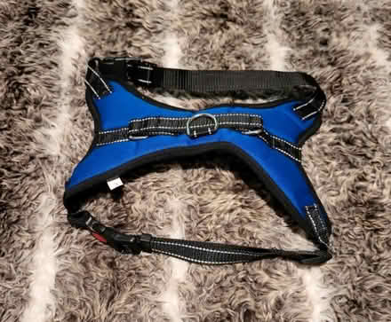 Photo of free Dog harness and jacket (Fulwood PR2) #1