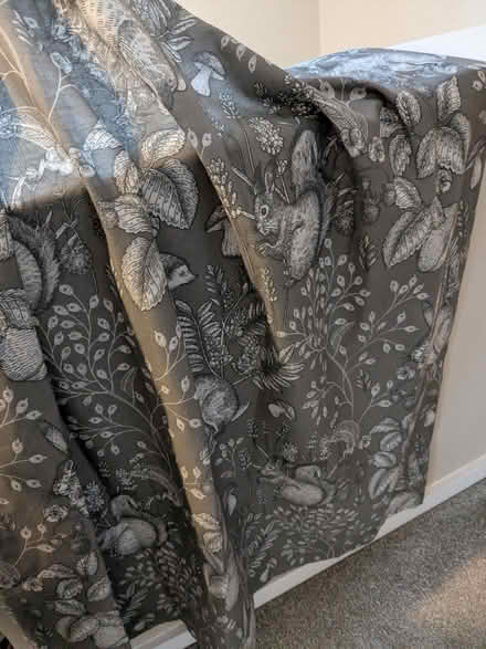Photo of free Pair of grey eyelet curtains with woodland animal design (Haslucks Green B90) #2