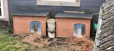 Photo of free Two dog kennels (pencaitland EH34) #1