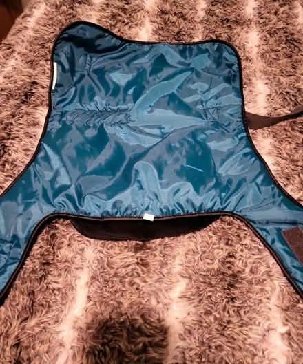 Photo of free Dog harness and jacket (Fulwood PR2) #3