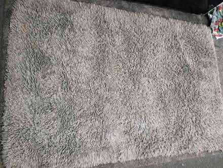 Photo of free Large rug (Gorebridge EH23) #1