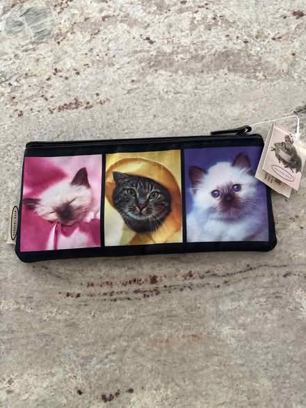 Photo of free Cat pouch (Ossining) #1