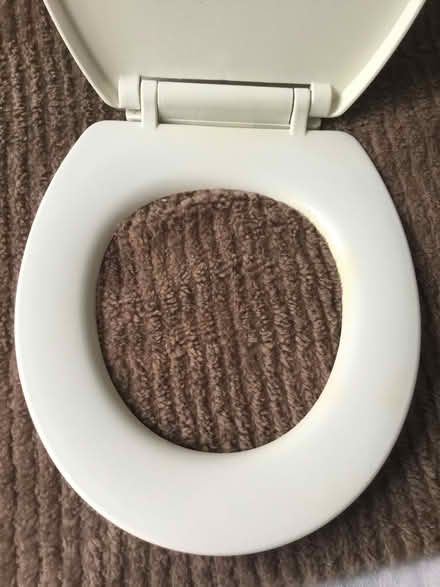 Photo of free White Plastic toilet seat (Wickford SS12) #2