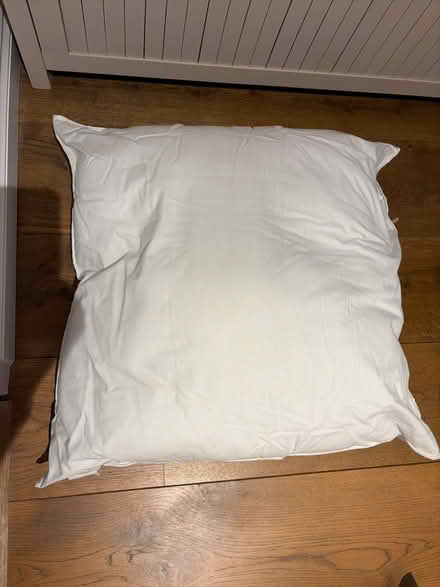 Photo of free Large square cushion pad (Hitchin Herts) #1
