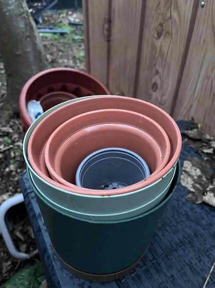 Photo of free Plant pots lot (Palmerston road, E17) #2