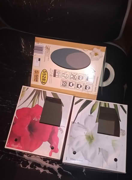 Photo of free 3 empty amaryllis bulb carton boxes (Sheffield centre S1) #3