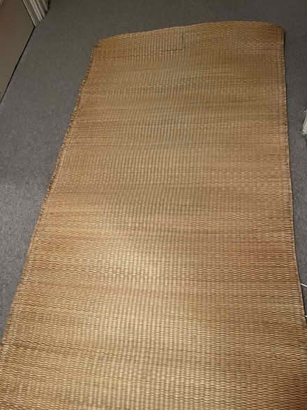 Photo of free Grass mat/runner (Jesmond) #1