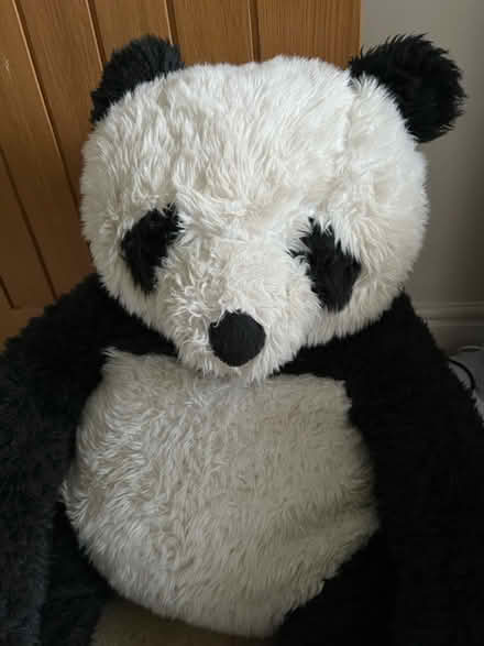 Photo of free Giant Panda,good for nursery/play (Farnley , Leeds LS12) #1