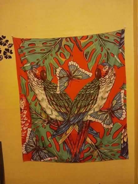 Photo of free colorful parrot tapestry (60th cedar ave 19143) #1