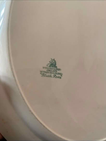 Photo of free Large Serving Plate (Cheshunt En8) #3