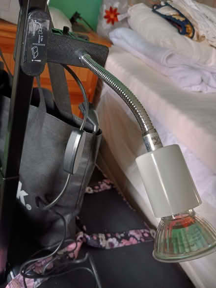 Photo of free Led clip on light with switch. European plug 🔌 (Billing Road East area) #2