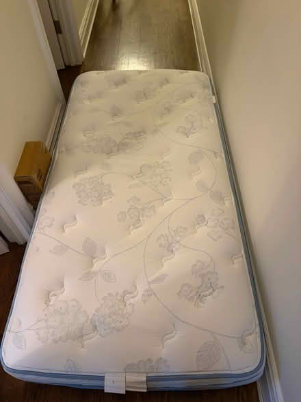 Photo of free Plush Pillowtop Twin Mattress (UWS) #1